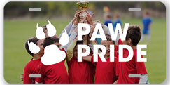 Picture for category Clubs