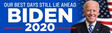 Picture of Political Bumper Sticker 2