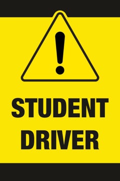 Picture of Student Driver 8