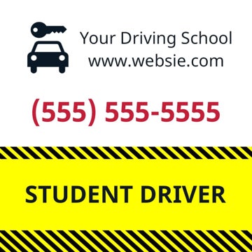 Picture of Student Driver 3