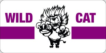 Picture of Schools 1