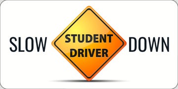Picture of Drive Safely 13