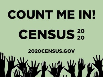 Picture of Census 8