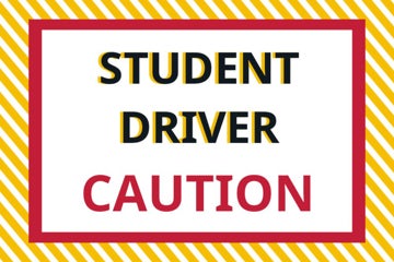 Picture of Student Driver 4