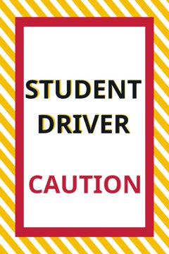 Picture of Student Driver 4