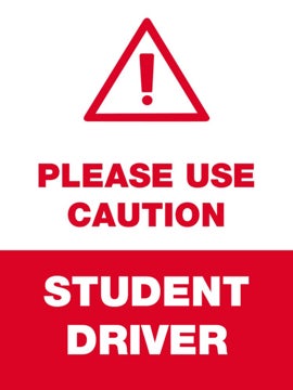 Picture of Student Driver 5