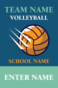 Picture of Volleyball 1