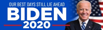 Picture of Political Bumper Sticker 2