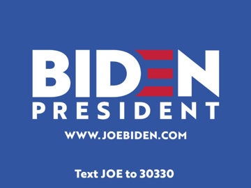Picture of Joe Biden Political Signs 3