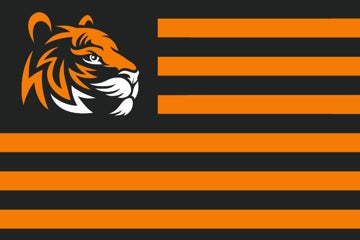 Picture of Sports Flag 4 - 2x3