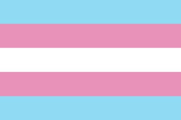 Picture of Trans Pride Flag - 2x3