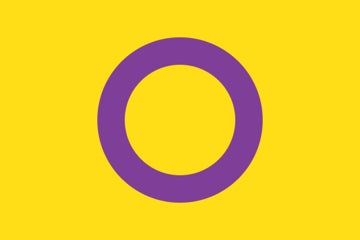 Picture of Intersex Pride Flag - 2x3