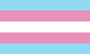 Picture of Trans Pride Flag - 3x5