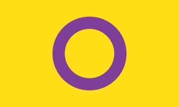 Picture of Intersex Pride Flag - 3x5