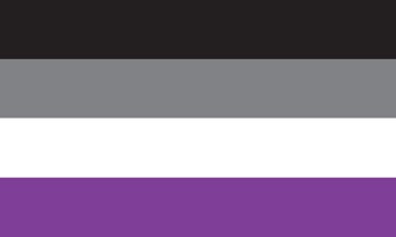 Picture of Asexual Pride Flag - 3x5