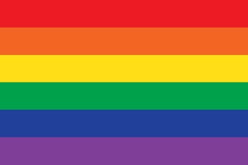 Picture of Gay Pride Flag - 4x6