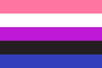Picture of Gender Fluid Pride Flag - 4x6