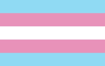 Picture of Trans Pride Flag - 5x8