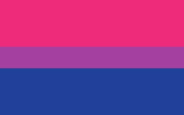 Picture of Bisexual Pride Flag - 5x8
