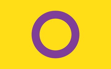 Picture of Intersex Pride Flag - 5x8