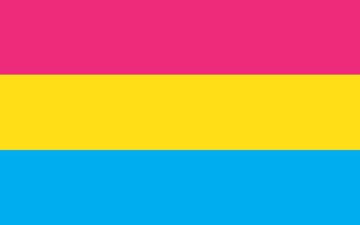 Picture of Pansexual Pride Flag - 5x8