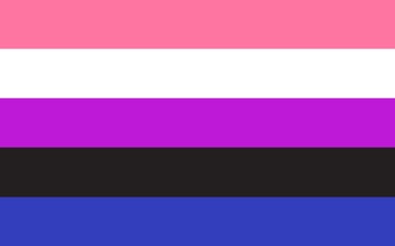 Picture of Gender Fluid Pride Flag - 5x8