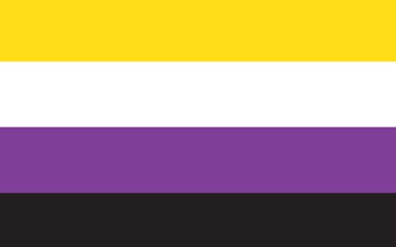 Picture of Non-Binary Pride Flag - 5x8