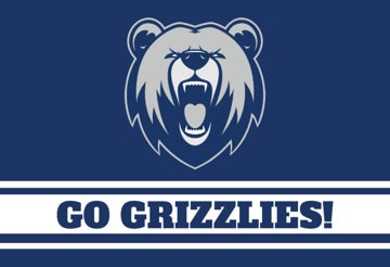 Picture of Sports Flag 1 - 2x3