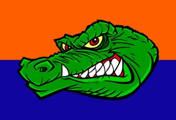 Picture of Sports Flag 2 - 2x3