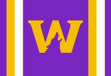 Picture of Sports Flag 5 - 2x3