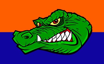 Picture of Sports Flag 2 - 3x5