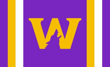 Picture of Sports Flag 5 - 3x5