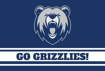 Picture of Sports Flag 1 - 4x6