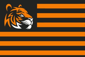 Picture of Sports Flag 4 - 4x6