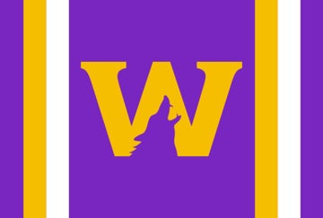 Picture of Sports Flag 5 - 4x6