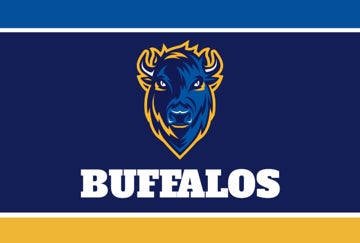 Picture of Sports Flag 8 - 4x6