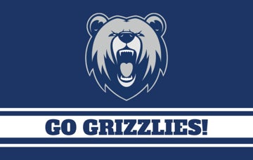 Picture of Sports Flag 1 - 5x8