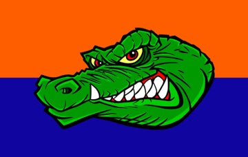 Picture of Sports Flag 2 - 5x8