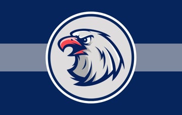 Picture of Sports Flag 6 - 5x8