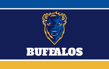 Picture of Sports Flag 8 - 5x8