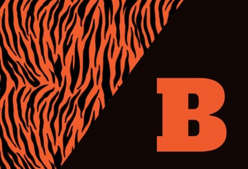 Picture of School Flag 5 - 2x3