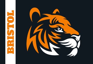 Picture of School Flag 6 - 2x3