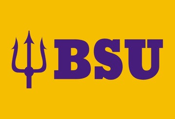 Picture of School Flag 7 - 2x3