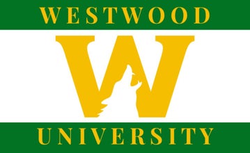 Picture of School Flag 8 - 3x5