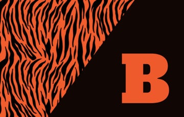 Picture of School Flag 5 - 5x8