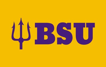 Picture of School Flag 7 - 5x8