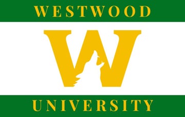 Picture of School Flag 8 - 5x8