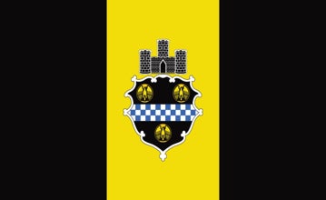 Picture of Pittsburgh, PA Flag - 3x5