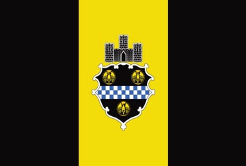 Picture of Pittsburgh, PA Flag - 4x6