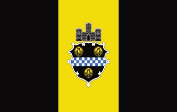 Picture of Pittsburgh, PA Flag - 5x8